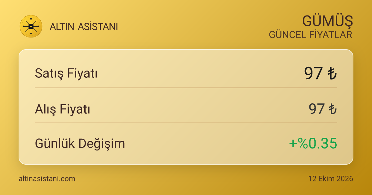 Gümüş Canlı Fiyat Özeti