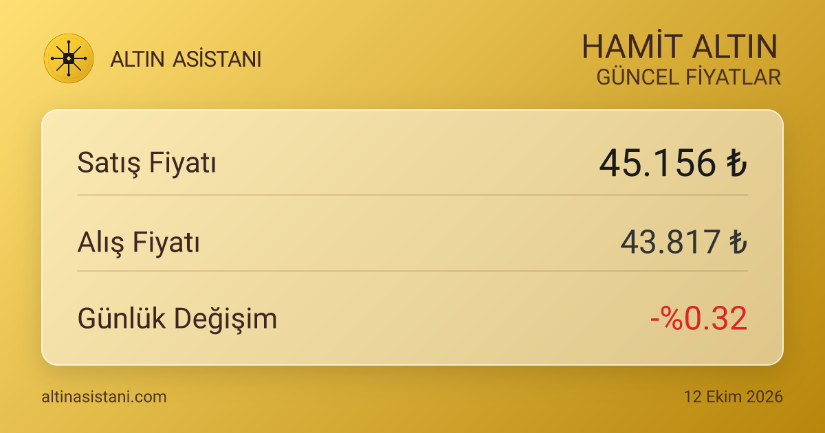 Hamit Altın Canlı Fiyat Özeti